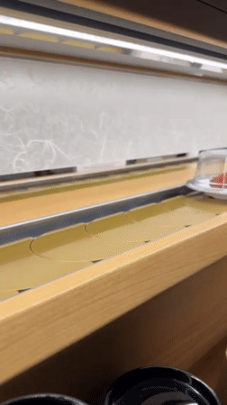 Conveyor belt sushi documented at Seoul restaurant