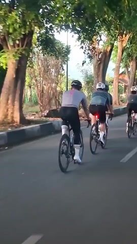 A group of cyclists ride on a paved road lined with trees. The cyclists are wearing cycling attire and helmets. They are riding in a line, one after another. The road is asphalt and has a white line painted down the middle. The trees are tall and have green leaves. The sky is overcast.