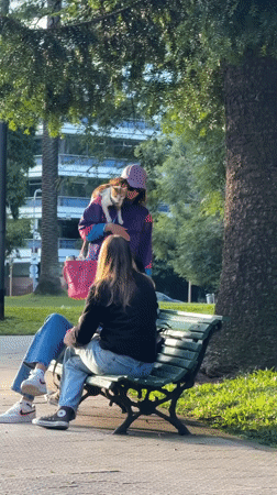 Woman walks multiple pets simultaneously through Buenos Aires park