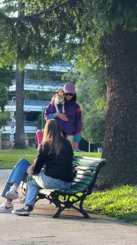Woman walks multiple pets simultaneously through Buenos Aires park
