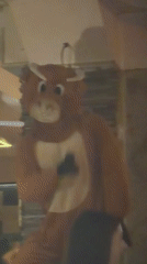 Bull mascot entertains nightclub crowd in Stara Zagora