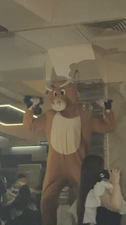Bull mascot entertains nightclub crowd in Stara Zagora