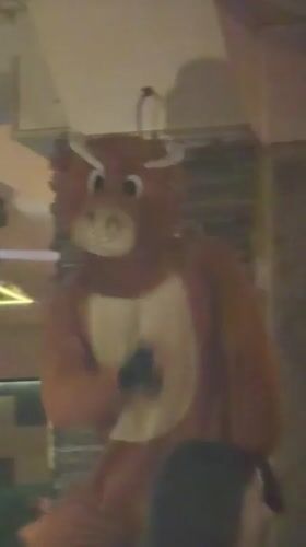 Bull mascot entertains nightclub crowd in Stara Zagora