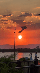 Fethiye sunset draws crowds as firefighting helicopters fly overhead