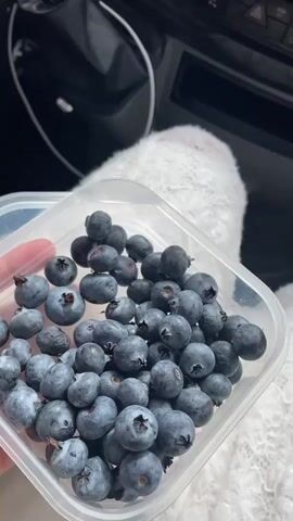 The video shows the interior of a vehicle, possibly a van, from a first-person perspective. In the foreground, a hand holds a clear plastic container filled with blueberries. The hand is wearing a fluffy white sock. In the background, the dashboard of the vehicle is visible, including a car stereo system displaying music information and the time 16:15. A person's hands are seen operating the vehicle. Outside the vehicle, through the windshield and side windows, trees and roads are visible. There are also traffic signals and signs, indicating the vehicle is on a road. The overall environment appears to be a journey, possibly in a rural or suburban area, with a focus on the act of eating blueberries while driving.
