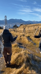 Casual outdoor moments captured across sunny Ushuaia, Argentina