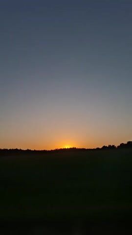 The video shows a sunset with the sun peeking over a line of trees, silhouetting the landscape. The sky transitions from a deeper blue at the top to a lighter orange-yellow near the horizon where the sun sets. Below the trees, there's a dark, grassy field. The camera appears to be still, focusing on the sunset.