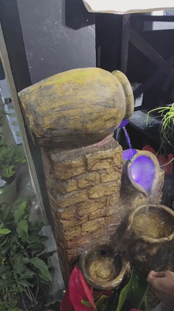 Tropical fruit and plants on display at a Dhaka outdoor market