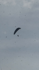 Paraglider floats through cloudy skies above Boreti, Montenegro