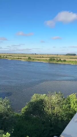 A wide river flows through a landscape with lush green trees in the foreground and on the banks. The sky is a clear blue with a few scattered white clouds. The water appears calm with a slight ripple on the surface. The background shows flat land with fields or meadows stretching to the horizon. The sun is shining, indicating a bright, clear day. There are no people or any discernible objects on the river or in the immediate surroundings.