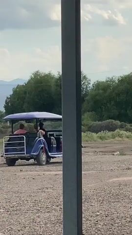 A blue, open-air, multi-passenger vehicle, possibly a golf cart, is parked on a gravel surface. The vehicle has a purple canopy. Two people are seated inside, one in the front passenger seat and another in the rear. The person in the front appears to be a woman with her legs extended. The person in the rear appears to be a man wearing a red shirt. The vehicle is positioned in front of a line of green trees under a cloudy sky. The foreground is partially obscured by a dark, vertical pillar and a partial view of a bench.