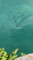 Tourists document scenic moments in historic Kotor, Montenegro