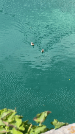 Tourists document scenic moments in historic Kotor, Montenegro
