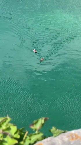 Tourists document scenic moments in historic Kotor, Montenegro