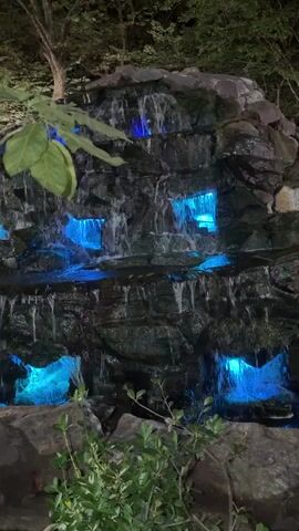 The video shows a nighttime scene of a man-made waterfall. The waterfall is constructed of dark rocks, with water cascading down several levels. The scene is illuminated by purple and blue lights embedded within the rock structure, casting a colorful glow on the falling water. In the foreground, there are some green plants and foliage. The background appears to be a dark, wooded area with trees. There are no people visible in the video. The water is flowing continuously, creating a dynamic visual effect against the static rock and static lighting.