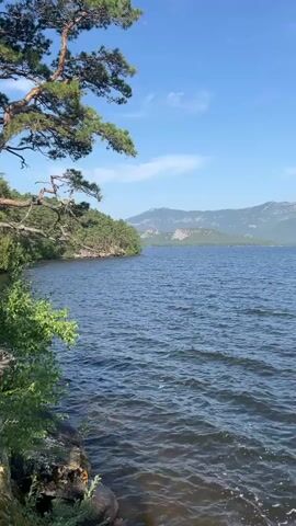 This is a vertical video of a body of water with a shoreline on the left. Tall trees with sparse branches and green leaves grow on the rocky shoreline. The water is blue and has ripples on its surface, suggesting a slight breeze. In the background, across the water, is a tree-covered landscape and distant mountains under a clear blue sky. The camera pans slightly from left to right, offering a view of the water, shore, and distant scenery. There are no people or animals visible in the video. The lighting indicates it is daytime, likely a sunny afternoon.