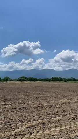 The video shows a wide, agricultural field with freshly tilled brown earth, marked by visible tire tracks. In the foreground, a black irrigation hose lies across the dirt. Beyond the field, a line of lush green trees forms a natural border, behind which rise several large, blue-hued mountains. The sky above is a vibrant blue, dotted with fluffy white clouds. The overall scene depicts a rural landscape on a clear, sunny day, suggesting preparation for planting or cultivation.