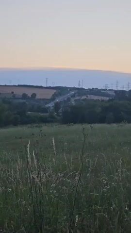 This video shows a landscape scene at dusk. The foreground is filled with tall, green grass and wildflowers. In the middle ground, there is a line of trees. Beyond the trees, a road can be seen, with power lines stretching across the horizon. The sky is a pale blue, with some wispy clouds and a hint of orange from the setting sun. The overall impression is one of a peaceful, rural setting at the end of the day.