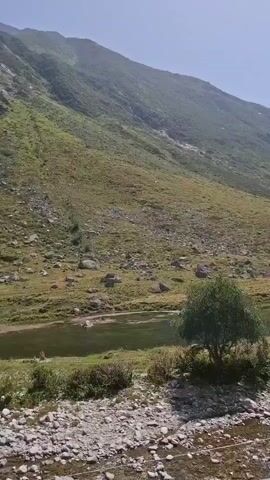 A video shows a rocky mountain slope covered in green grass and scattered rocks. A narrow, clear stream runs through the foreground, with a single tree growing near its bank. The sky above is a pale blue with a few wispy clouds. The camera appears to be moving slowly from left to right, panning across the landscape.