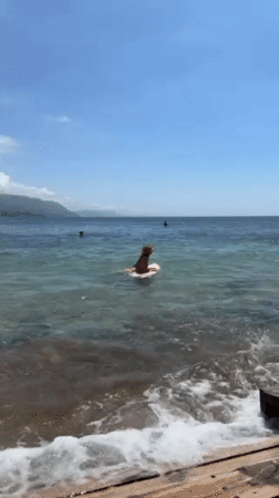 Beachgoers enjoy sunny day at Bulli coastal waters