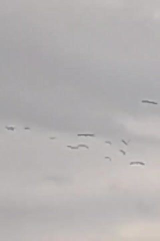 The video shows a flock of birds flying across an overcast sky. The birds are small, dark silhouettes against the bright gray clouds. Initially, they are somewhat scattered, with some appearing to fly in a loose formation. As the video progresses, more birds join the group, and they briefly form a more defined line or V-shape before dispersing again. The sky is predominantly light gray, indicating cloudy weather. No specific geographical landmarks or text are visible, only the birds and the sky. The activity is simply the birds in flight.