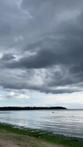 A still shot of a body of water under a dark, cloudy sky. The water is calm with small ripples, and there is a shoreline with green algae in the foreground. In the distance, a line of trees is visible along the horizon, and a few rocks are scattered in the water. The overall atmosphere is moody and overcast, suggesting a potential storm.