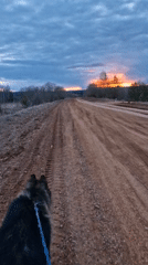 Dog walker enjoys dramatic sunset in rural Otchor, Russia