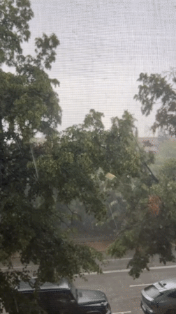 Rainy morning in Blagoevgrad, indoors and out