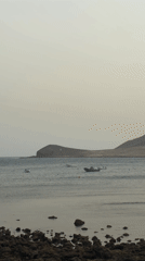 Peaceful coastal scene with boats captured near Granadilla, Spain