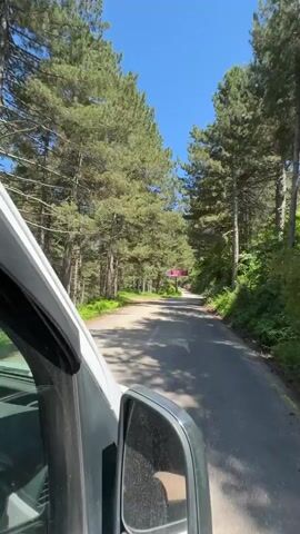This media file depicts a point-of-view shot from a vehicle traveling along a paved road through a dense forest. The scene is set on a sunny day with a clear blue sky. Tall pine trees line both sides of the road, with lush green foliage and dappled sunlight filtering through the canopy. The road curves gently ahead, with a white vehicle visible in the distance.

A prominent red and white sign is suspended over the road, displaying the text "TAVACI BÜNYAMİN" in bold, red lettering. Below this, a phone number is also visible: "0532 255 99 63". The sign appears to advertise a local establishment, likely a restaurant or food vendor given the word "TAVACI" which can mean "fry cook" or "grill master" in Turkish.

The overall mood is peaceful and scenic, suggesting a leisurely drive through a natural landscape. The car's side mirror is visible in the foreground, framing the view. The presence of the sign and the paved road indicate that this is a public thoroughfare, possibly a route to a tourist destination or a village within the forest. The location is identified as Osmaniye, Turkey, which is known for its mountainous terrain and forests, fitting the visual cues in the video.