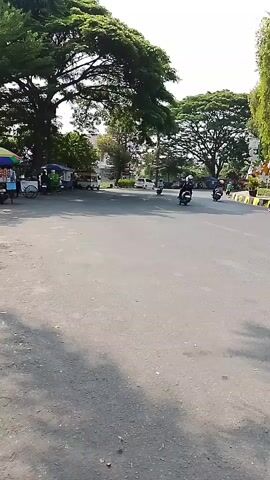 The video shows a street scene with several motorcycles and a car driving on the road. On the left side of the road, there are food vendors with colorful umbrellas. Large trees with lush green foliage line the street, casting shadows on the asphalt. The sky is bright, suggesting a sunny day. The motorcycles and car appear to be moving in the same direction.