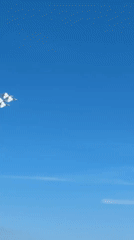 Military jets fly formation over busy Lauderdale beach cafe