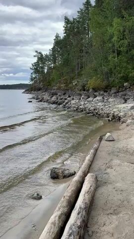 The video shows a shoreline with a sandy beach in the foreground and a body of water in the background. Two large logs are lying on the sand. The water is calm with small waves lapping against the shore. A rocky, tree-covered hillside rises from the water's edge. The sky is cloudy.