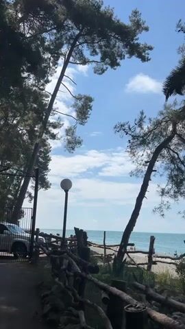 The video shows a view of the sea from behind trees and a rustic wooden fence. In the foreground, a path is visible on the left, next to which a parked car can be seen. A lamppost stands along the path. The fence is made of rough, natural branches and posts, with some greenery growing near it. Beyond the fence, a beach with pebbles is visible, and the turquoise sea stretches to the horizon under a bright blue sky with scattered white clouds. Several palm trees are prominent in the frame. One tall palm tree on the right has the word "ARGO" carved vertically into its trunk. The scene suggests a coastal or tropical environment, possibly a park or a resort area. There are no people clearly visible in the frame, although there appear to be a few small figures on the distant beach. The camera pans slightly from left to right.