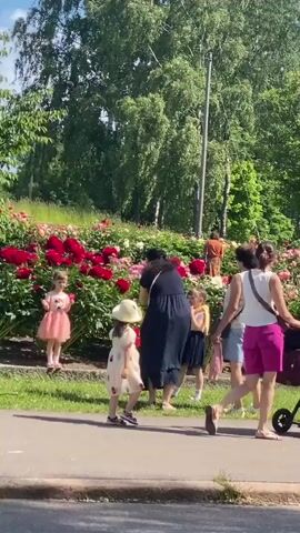 The video shows a park with blooming flowers, primarily peonies in shades of pink, red, and white. Several people are present in the park. In the foreground, a woman with dark hair is pushing a stroller. To her left, a woman in a dark dress and a young girl in a light-colored dress and hat are standing. Further back, another woman in a white top and blue shorts is visible. In the background, there are more people strolling through the flower beds and sitting on benches. Trees and foliage form a backdrop to the scene, and the sky is visible with some clouds. A lamppost stands tall on the left side of the park. On the right side, the rear of a dark-colored car is visible.
