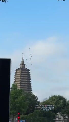 The video captures a wide shot of a pagoda and trees under a bright, partly cloudy sky. A tall, black rectangular object is positioned on the left side of the frame, partially obscuring the view of the pagoda. Several birds fly in the upper left quadrant of the image. The pagoda, with its multi-tiered roof structure, is the central focus behind the trees. A billboard with Chinese characters is visible behind the trees on the right side of the pagoda. A traffic light showing red is also present at the bottom left, peeking out from behind the black object. The video appears to be a static shot with no discernible movement or action within the frame apart from the flying birds.