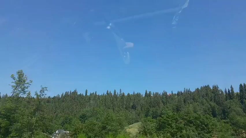 The video captures a drive through a forested area on a sunny day with a clear blue sky. The camera is mounted on a moving vehicle, likely looking out the front windshield. On the left side of the screen, a white truck is visible, possibly parked. Further ahead, a white truck with a crane attachment and a smaller green vehicle are also seen. The right side of the screen shows a large, white, weathered billboard with some text that is difficult to read. Beyond the immediate foreground, a dense forest of evergreen trees covers a hillside. The video provides a glimpse of vehicles and roadside structures against a natural backdrop.