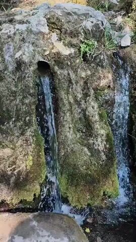 The video shows a close-up of a natural spring flowing from a rocky crevice covered in moss. Two streams of water cascade down the moss-covered rocks into a dark pool below. The water appears clear, and the surrounding rocks are rough and textured. The overall impression is one of a serene, natural setting.