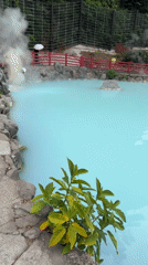 Tourist documents early morning visit to Beppu's Umi Jigoku hot spring