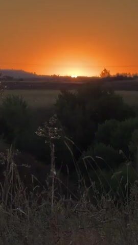 A time-lapse video of a sunset over a field. The sun is a bright orange orb near the horizon, casting a warm glow across the sky. In the foreground, there are silhouettes of tall grass and trees. The overall atmosphere is peaceful and serene.