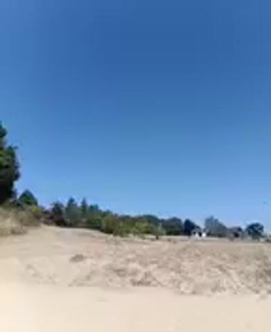 A low-resolution video shows a sandy landscape under a bright blue sky. The foreground is a sandy, dry, and barren area with some sparse, dry grass. In the mid-ground, there is a patch of dry, brown grass and some scattered rocks. Beyond that, a line of trees forms a natural border, with some buildings visible in the distance behind the trees on the right side of the frame. The trees are green and leafy, indicating a temperate climate. The lighting suggests it is daytime, with the sun high in the sky. The camera appears to be handheld, with slight movements and occasional jerks, suggesting someone is walking or holding the camera. The overall impression is of an outdoor, possibly rural or undeveloped area.