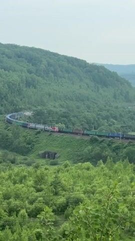 A train travels along a curved track through a lush, green forest. The train is long and appears to be a freight train, with multiple cars. The forest is dense and hilly, with trees covering the slopes. The sky is overcast.