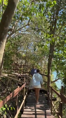 Morning wildlife and human activity captured in Thai beach town