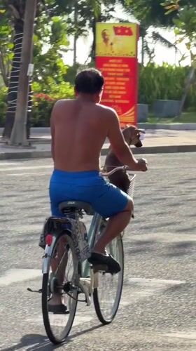 Busy morning along Nha Trang's beach and coastal streets