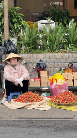 Evening street life documented across Da Lat, Vietnam