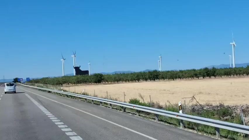 The video captures a scenic drive along a highway in La Muela, Spain, under a clear, bright blue sky, suggesting it is midday on a sunny day. The camera appears to be mounted on a moving vehicle, likely a van or car, as evidenced by the perspective of the road and the guardrail.

The primary subjects are the expansive landscape and man-made elements within it. A prominent feature is a large, dark silhouette of a bull standing atop a grassy hill or a line of dense green bushes. This iconic bull silhouette is a well-known landmark in the region. Surrounding the bull and extending across the middle ground are rows of green trees, likely an orchard or a formal planting, contrasting with the dry, golden-brown fields beyond. In the background, several tall wind turbines, characteristic of the Spanish landscape, are spread across the horizon, their blades static against the clear sky. The distant hills or mountains are visible, softened by the haze of a warm day.

The activity is passive observation from a moving vehicle, a road trip or journey. There are no people clearly visible, except for a white vehicle ahead on the highway, indicating travel. The overall mood is one of open space, serenity, and perhaps a sense of journey or exploration. The dry, sun-baked fields suggest a warm climate, and the clear sky indicates fair weather. The combination of the bull silhouette, wind turbines, and agricultural landscape points to a rural or semi-rural setting in Spain.

No visible text is present in the video.