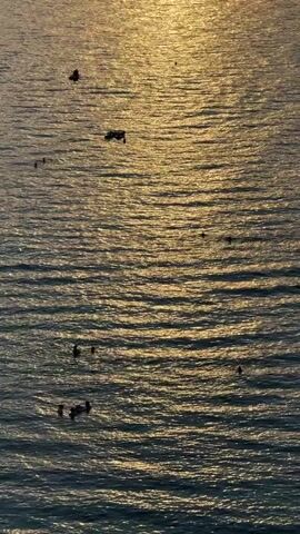 The video shows a wide shot of the ocean at sunset. The sun's reflection creates a golden shimmering effect on the water's surface. Several small boats are scattered across the water, and numerous people can be seen swimming or playing in the ocean. The overall impression is one of leisure and a peaceful evening at the beach.