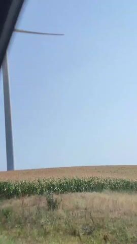 The video shows a single shot of a wind turbine in a field with a clear blue sky. The turbine's blades are in motion, indicating that it is operating. The field appears to be planted with crops, possibly corn, and there is some dry grass or weeds in the foreground. The shot seems to be taken from a moving vehicle, as suggested by the slight blur and the angle of the view.