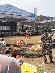 41st anniversary festival at Pondok Pesantren Nurul Huda, Plosorejo