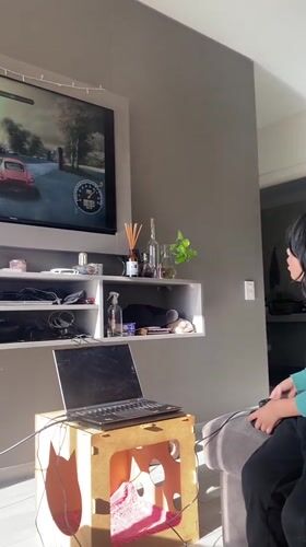 Young gamer plays racing video game in Buenos Aires